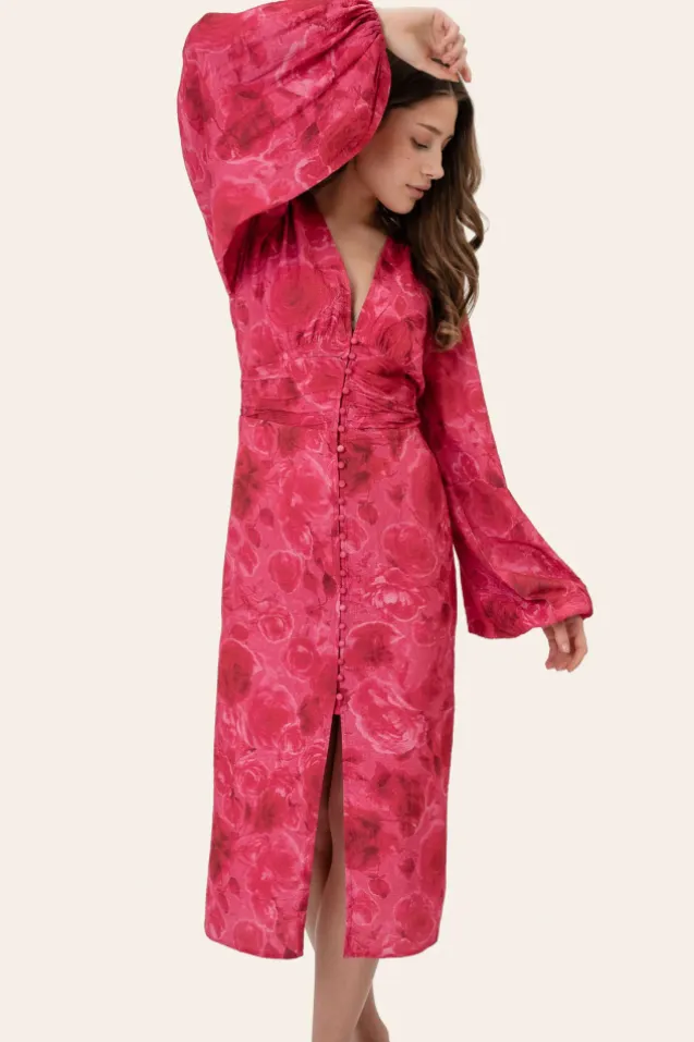 Adaic Long Dress Soft Rose Print