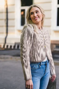 Aislinn Alpaca Blend Cardigan Moire