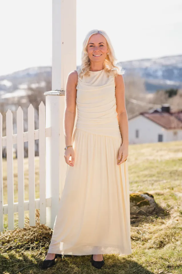 Cludine Mesh Dress Light Yellow