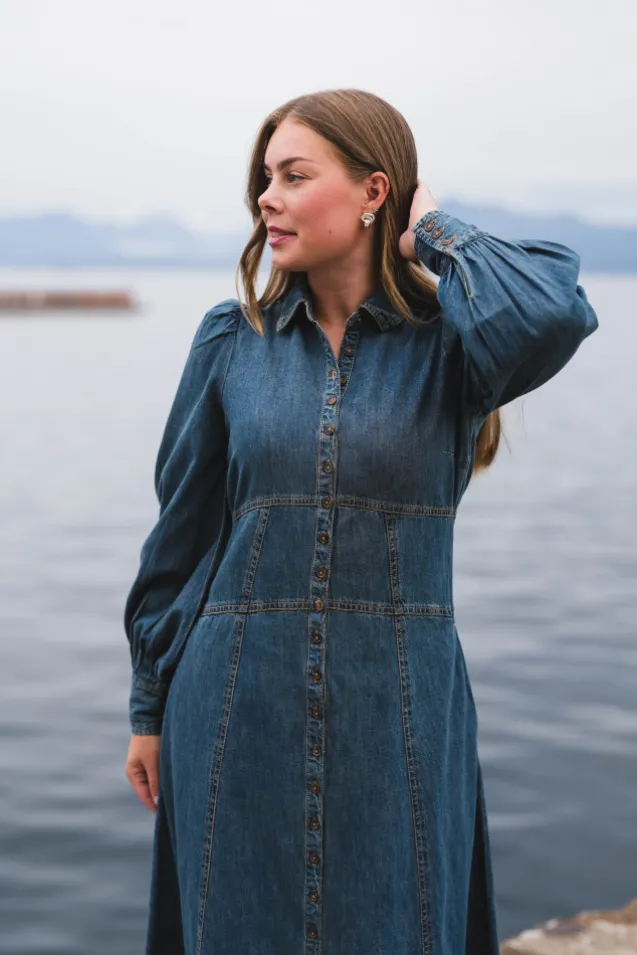 Denim Button-Down Dress French Blue