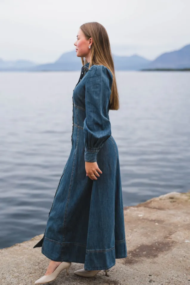 Denim Button-Down Dress French Blue