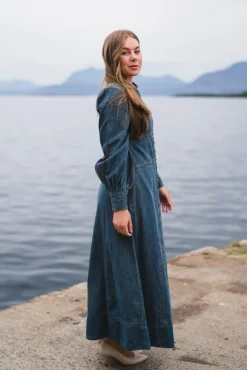 Denim Button-Down Dress French Blue