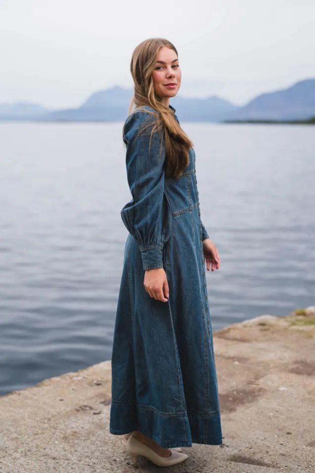 Denim Button-Down Dress French Blue