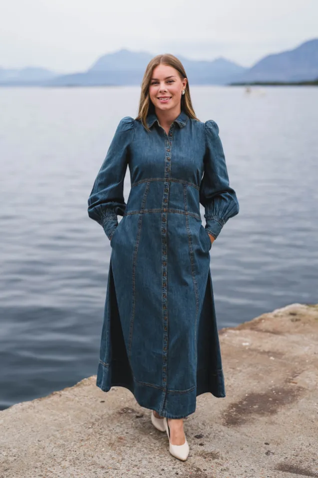 Denim Button-Down Dress French Blue