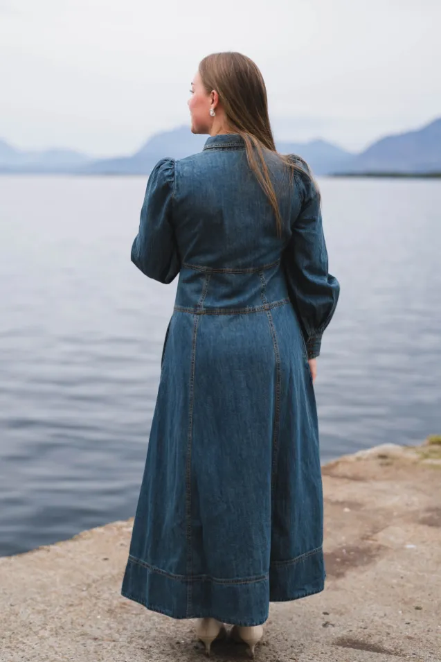 Denim Button-Down Dress French Blue