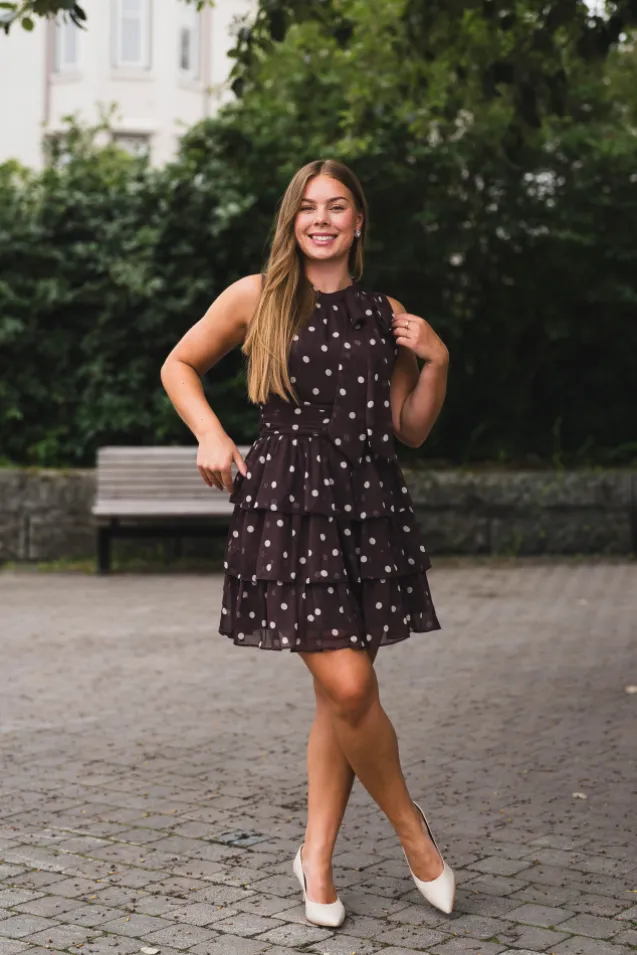May Big Dot Dress Brown