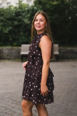 May Big Dot Dress Brown