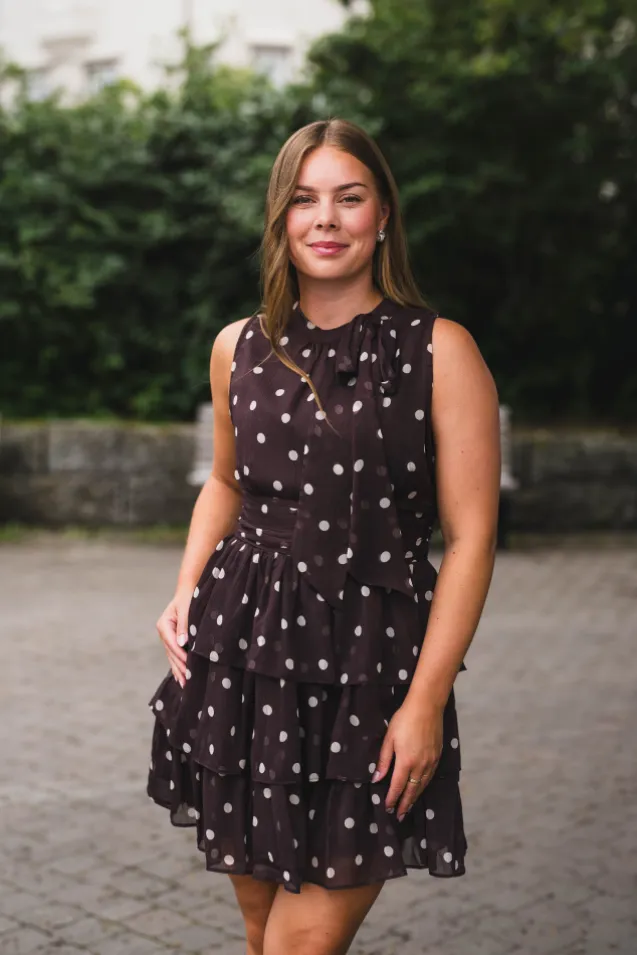 May Big Dot Dress Brown